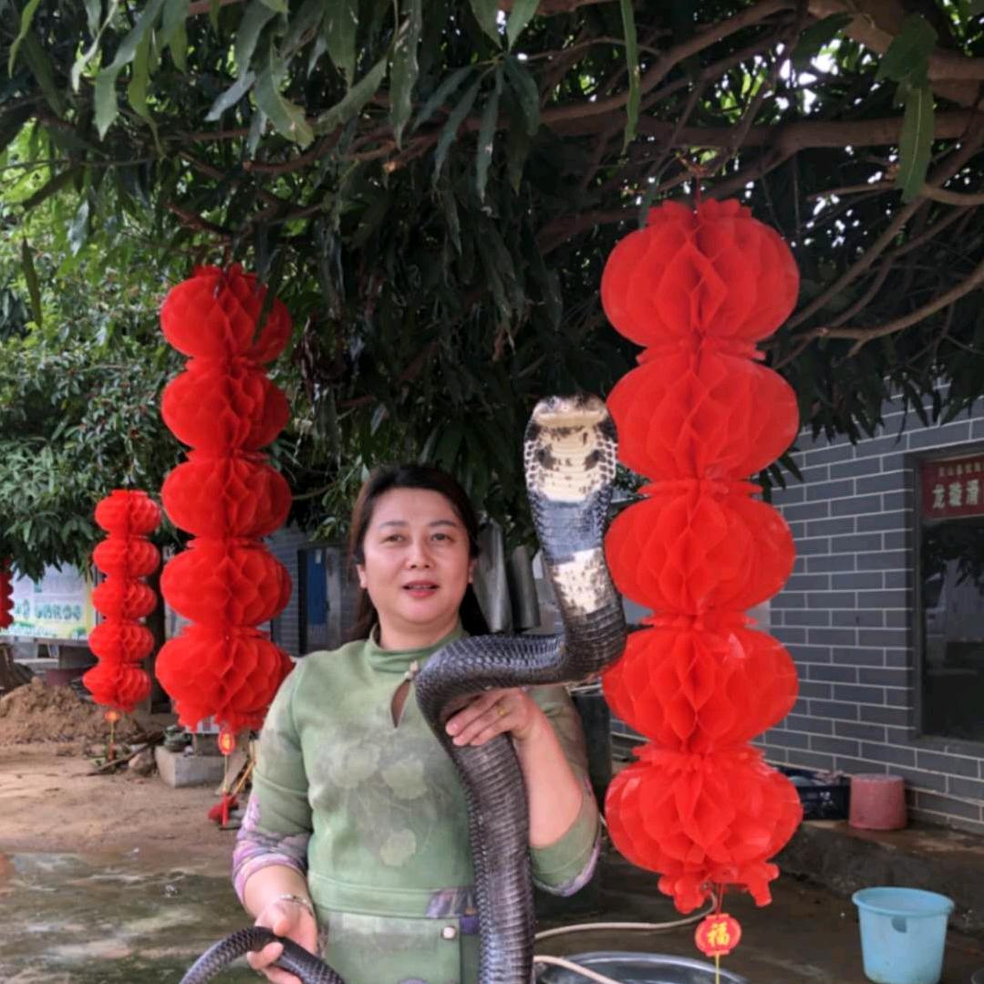 养蛇人周文倩的店铺