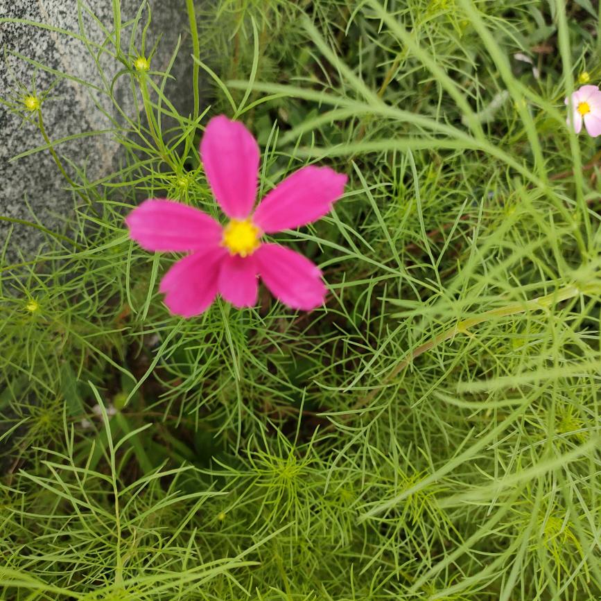 如新2021🐲⁰⁵²⁵