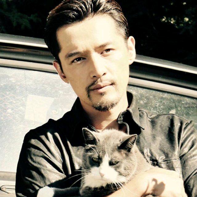 路明虎 钢材 敬业 2672