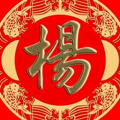 夜猫子