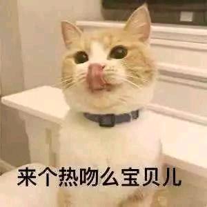 护法