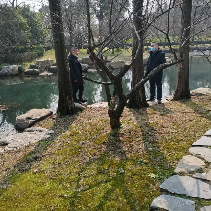 刘凤花