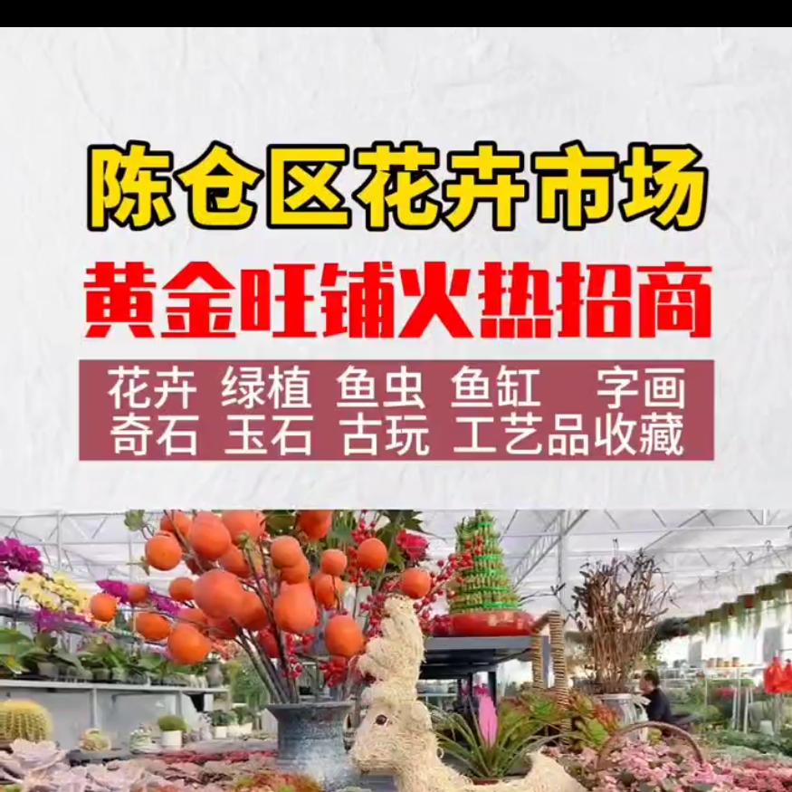 陈仓花卉