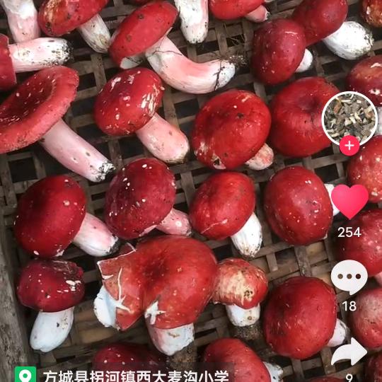 吉星高照