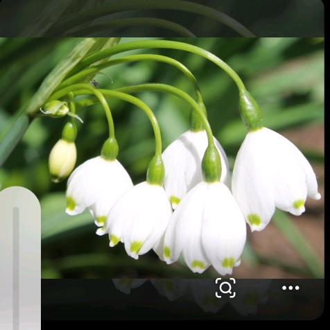 寻奇花异草