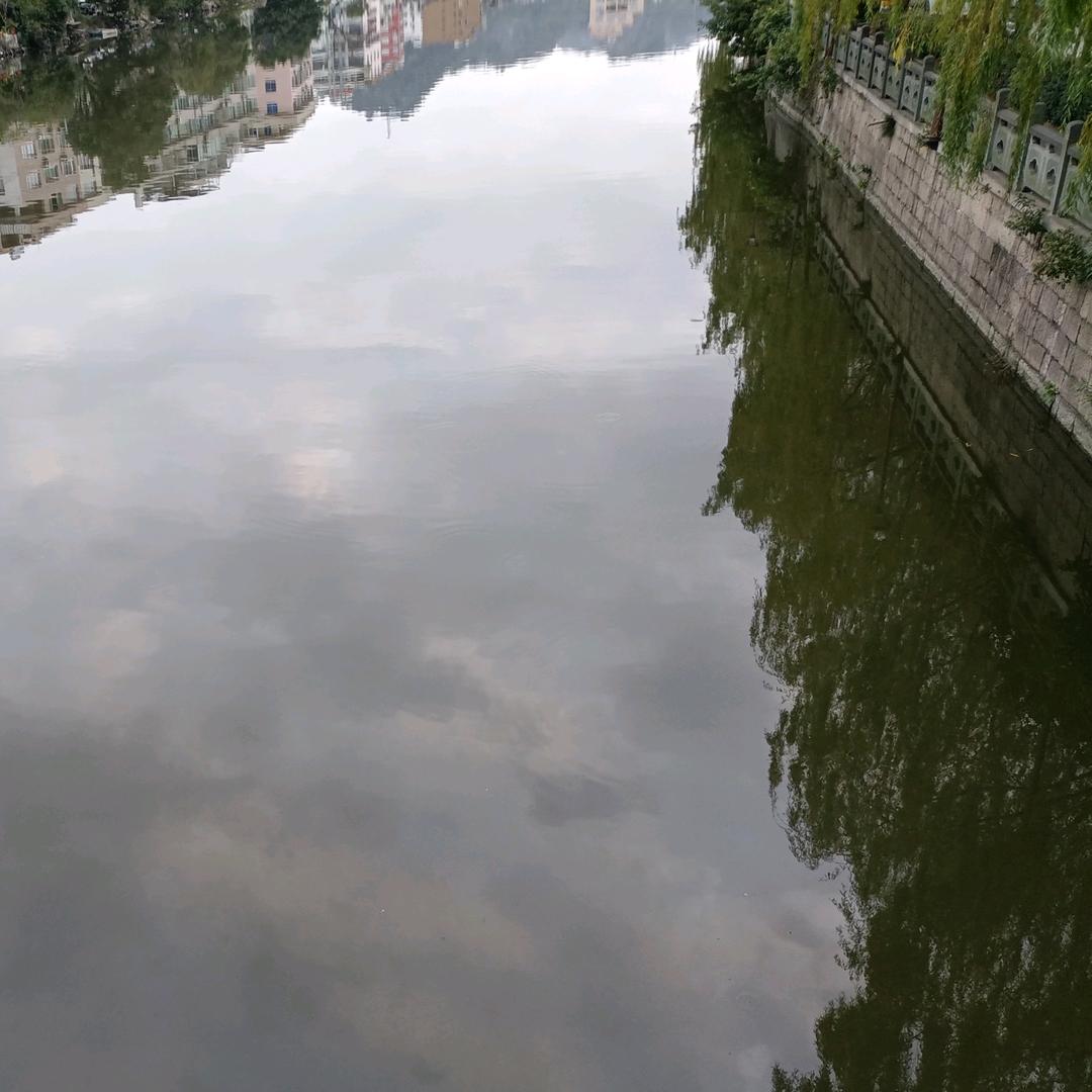 大哥回来了