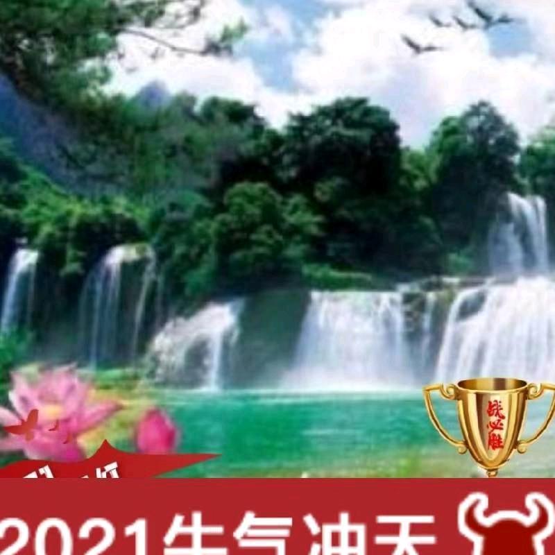 杨雯絮