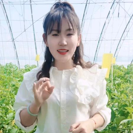 彩耘鸟农业科技最美大姜(小洁)