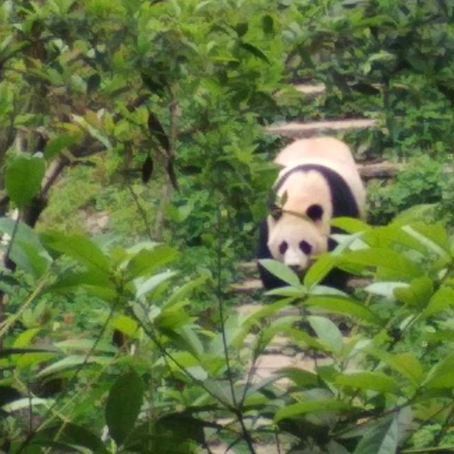 风雨之后见彩虹