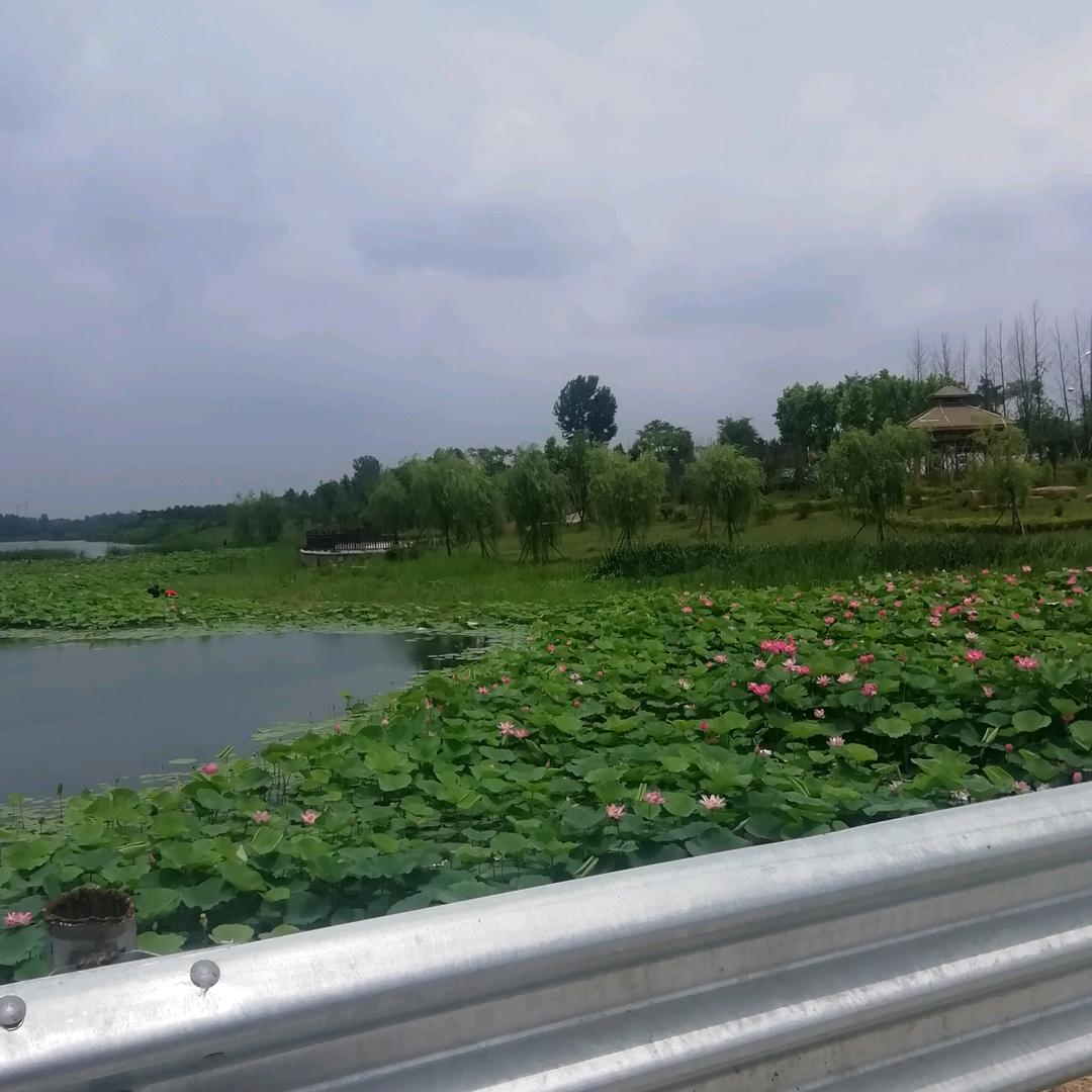 心海哥