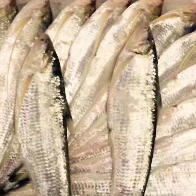 海在鲜