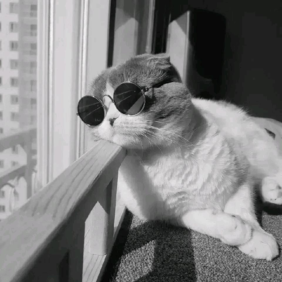 和她一起看星辰