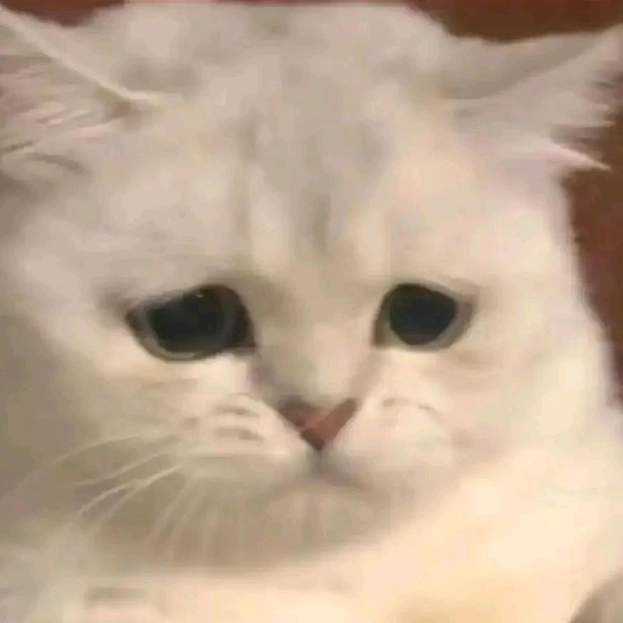 AAA专业草莓挑籽林大婶