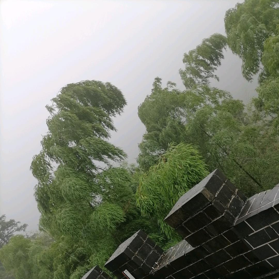 快乐的老家