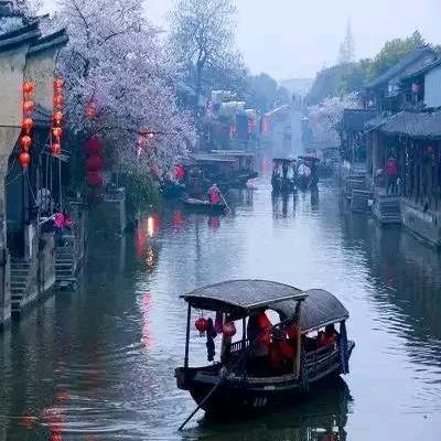 坐拥天夏