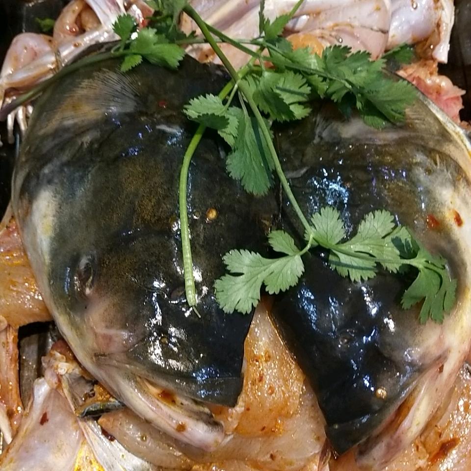 升钟湖有机花鲢🐠体验馆，老陶