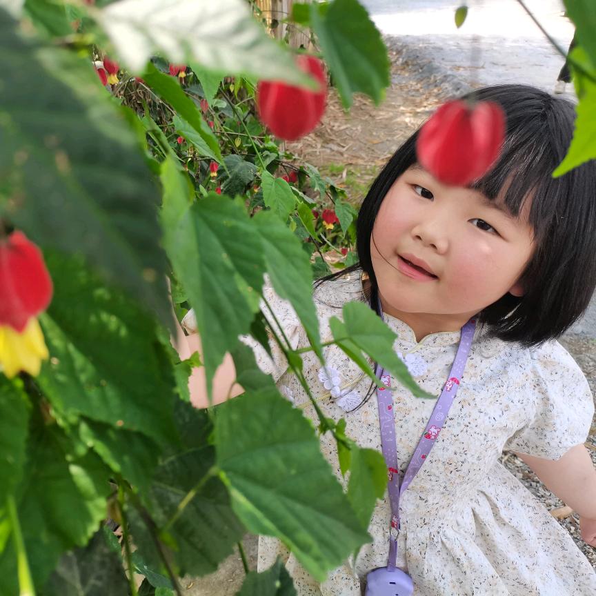 芯宝