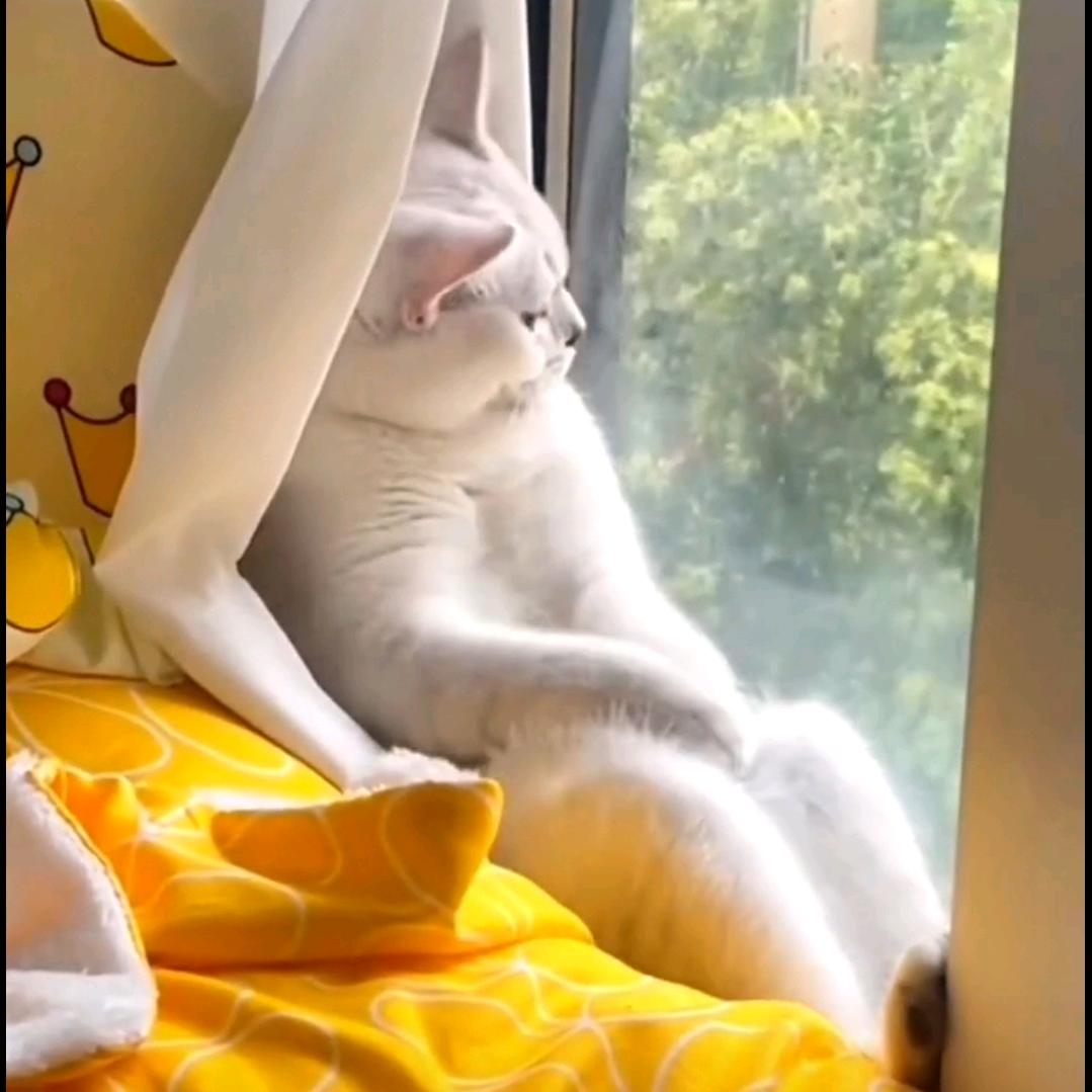 你很勇咯，让我看看