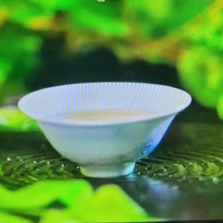 刘竹清