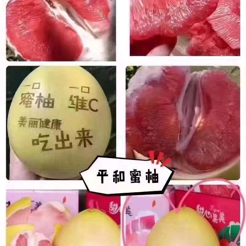 佳佳