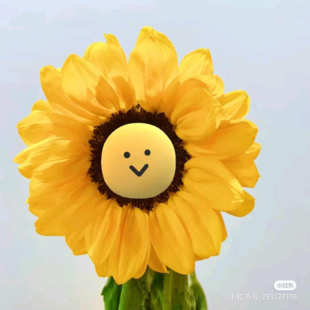 梅花香自苦寒来