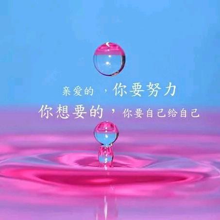文文