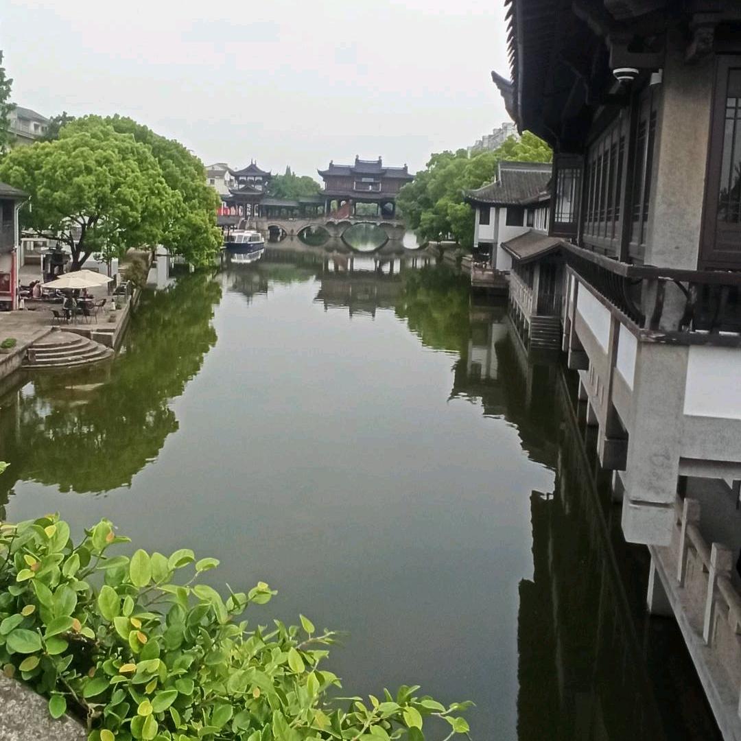 ง虫子等520万人