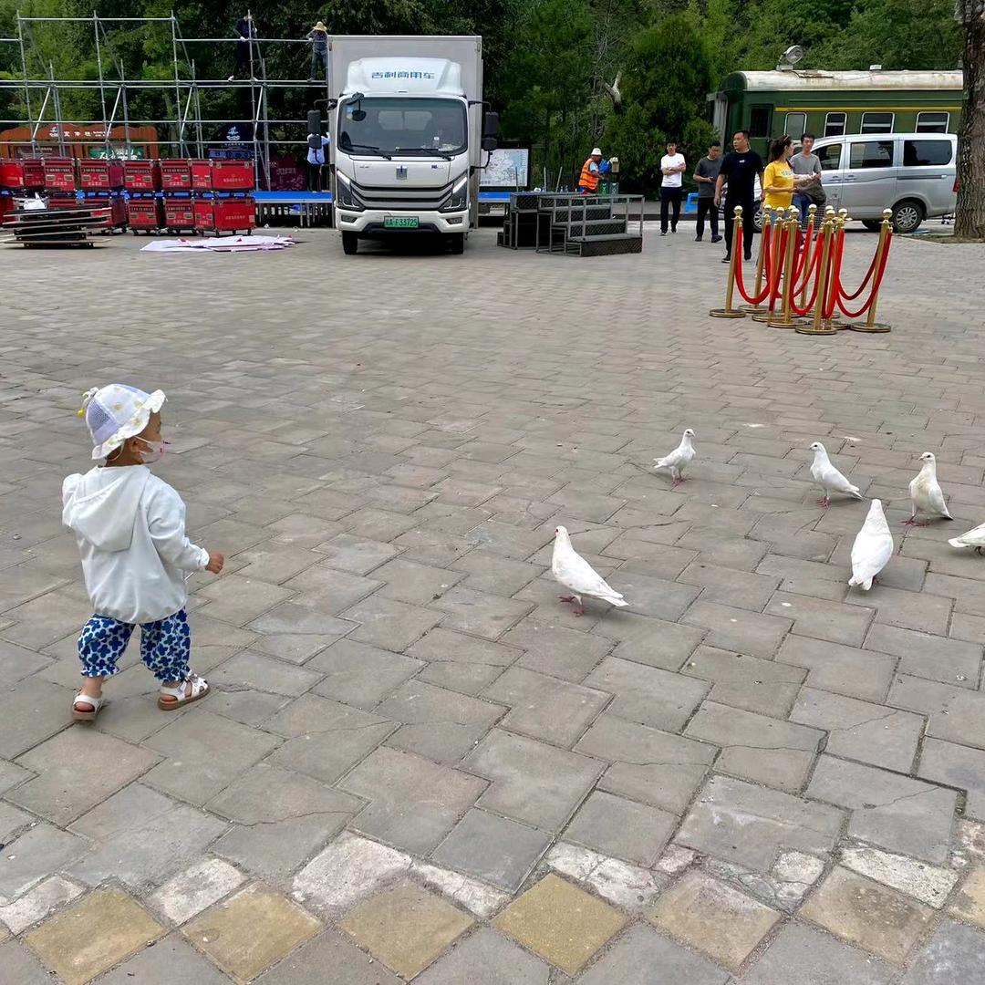 小秦冠(1225)头像