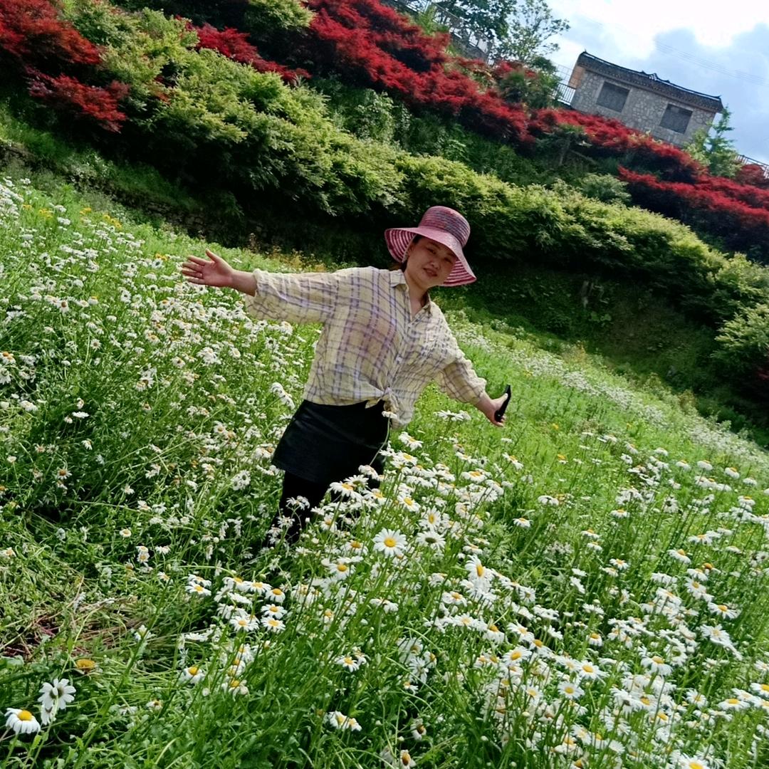 小江鱼庄官方号