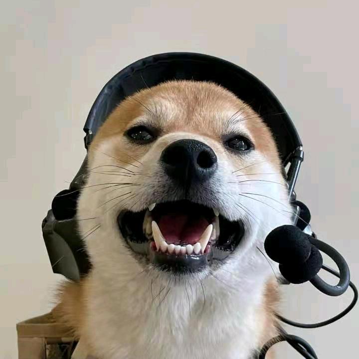 超爱玩