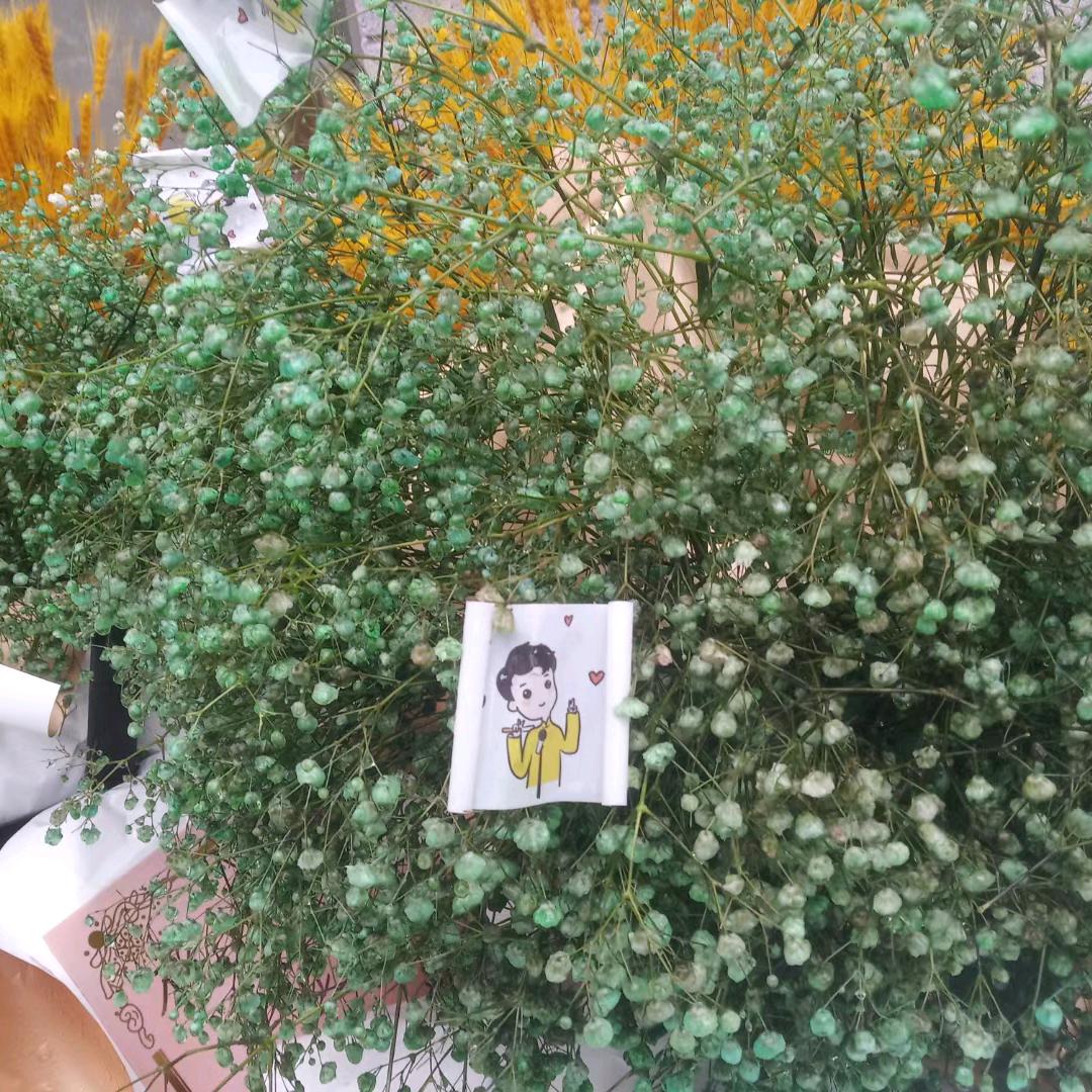 沐阳春（痣 疣）