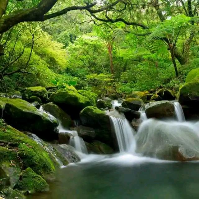 绿水清山