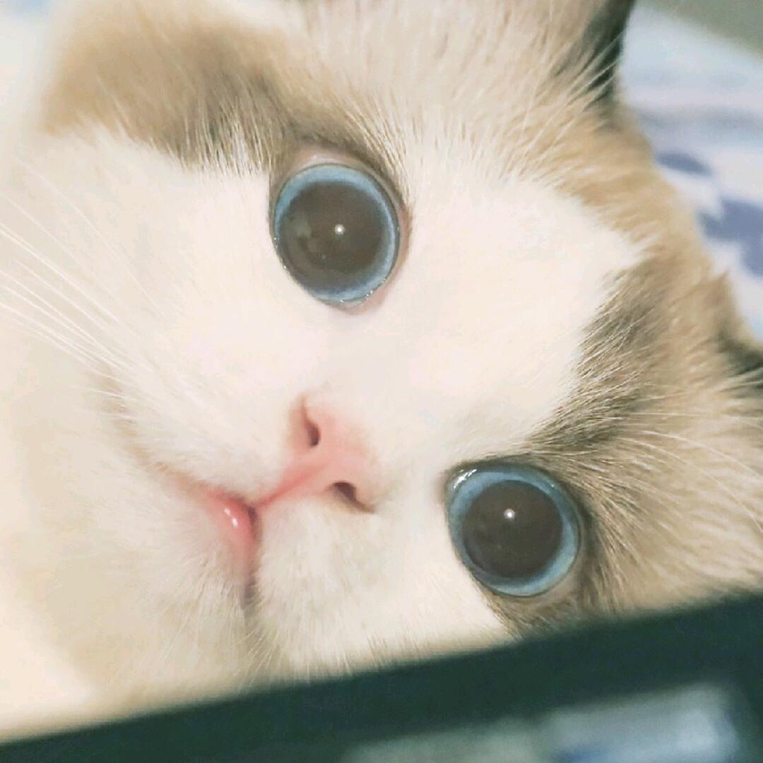 美宣穗品牌方