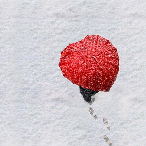 雨伞下的💋小姐姐