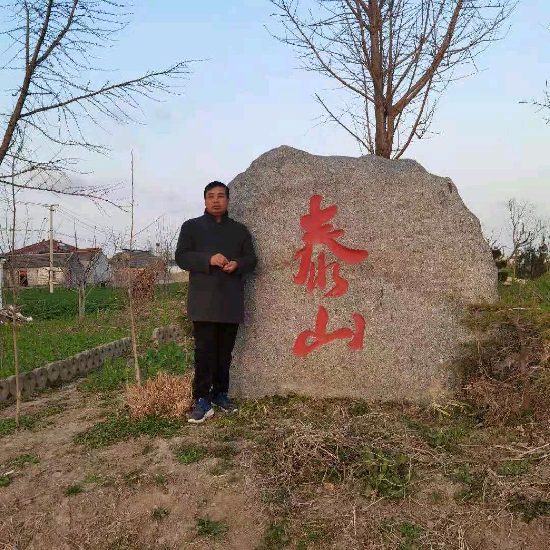 姚善桂