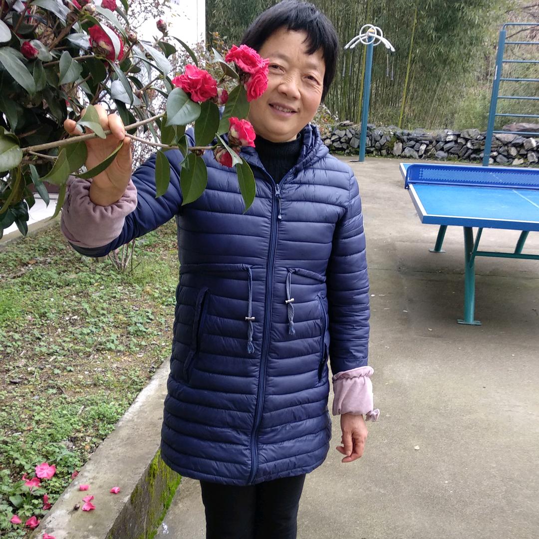 紫薇花🌸