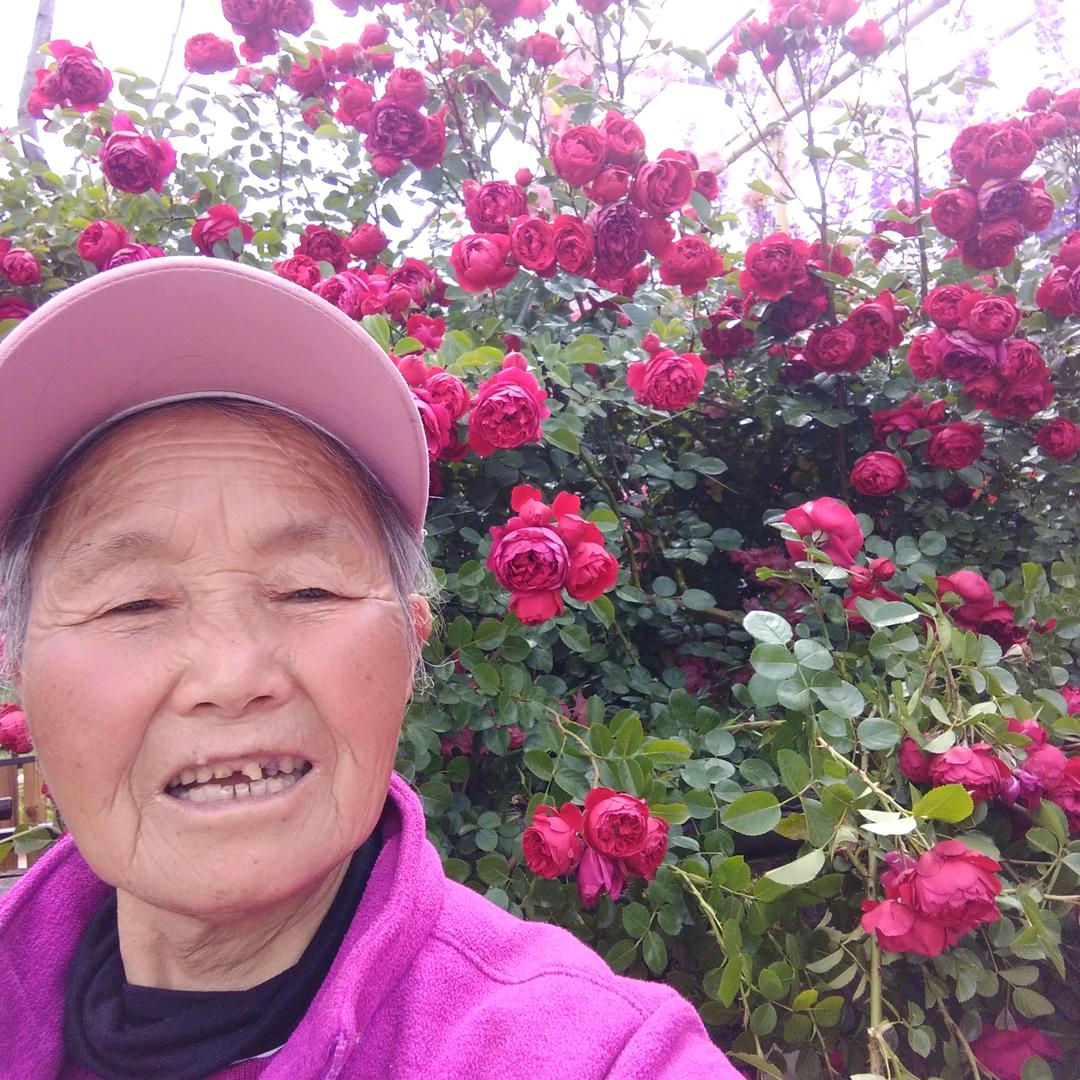 健康是福