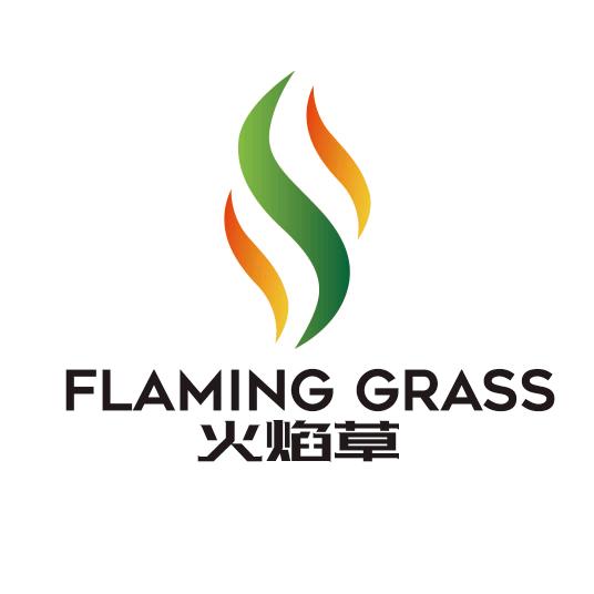 火焰草