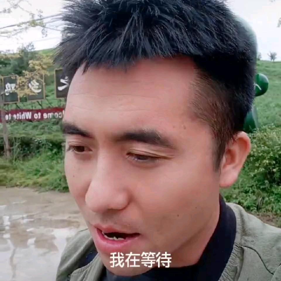 风花雪月