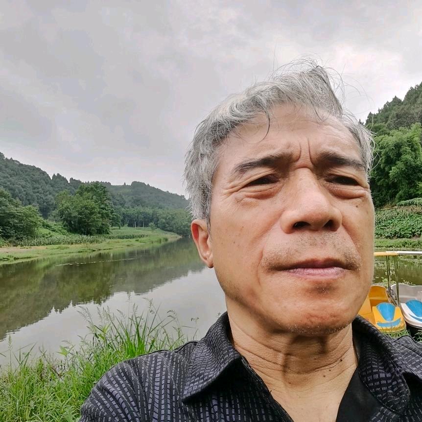 小树（手机拍摄）