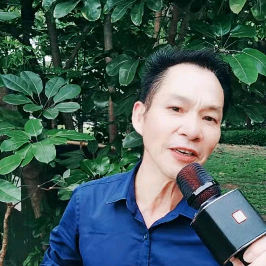 自由飞翔爱唱歌晚上8点首播