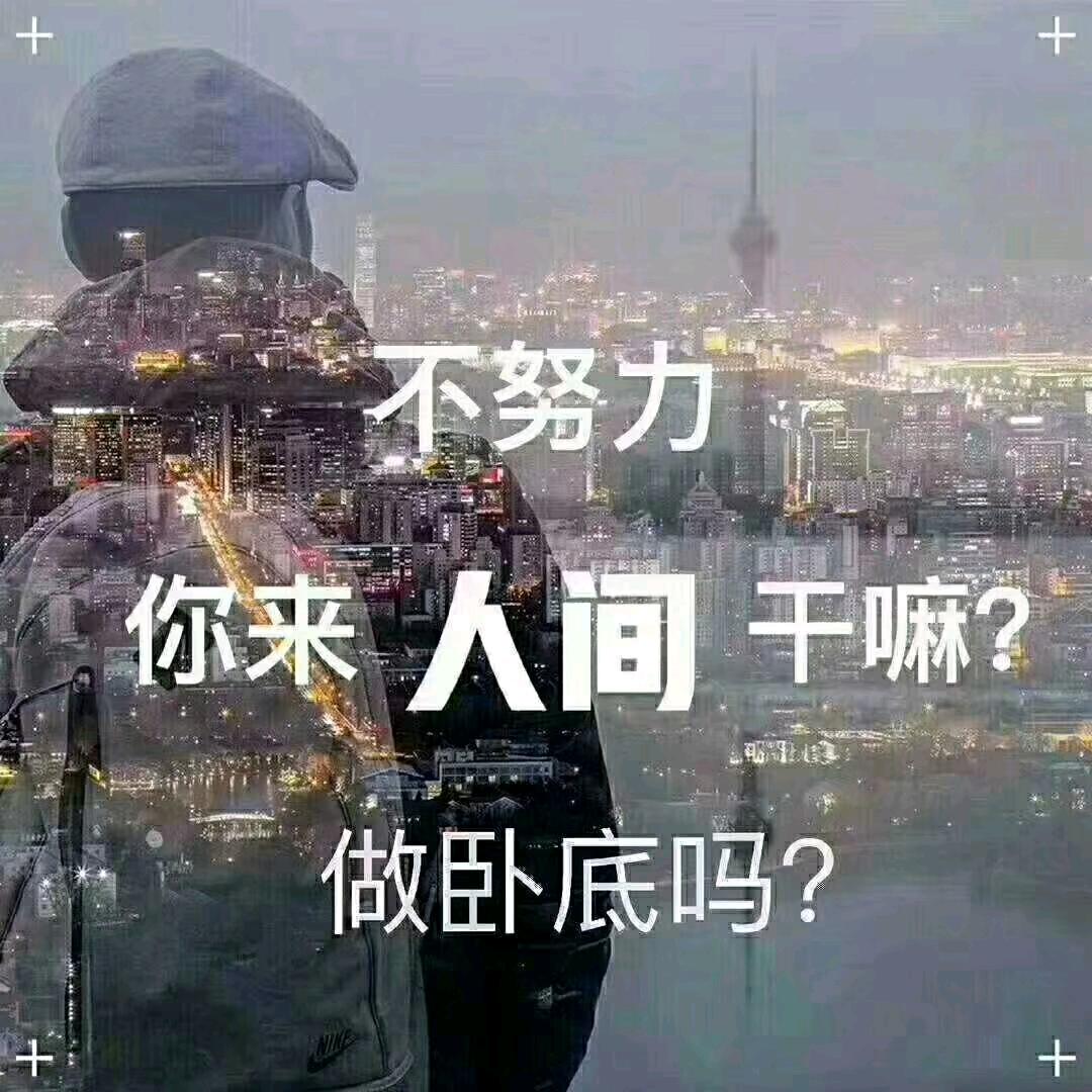 忘了起名