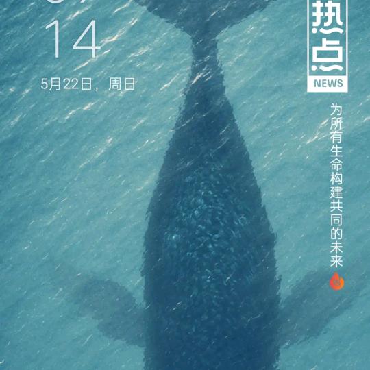王韩小萌
