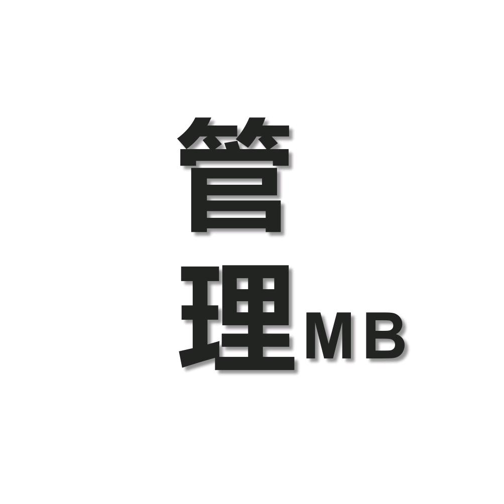 MB管理信息咨询
