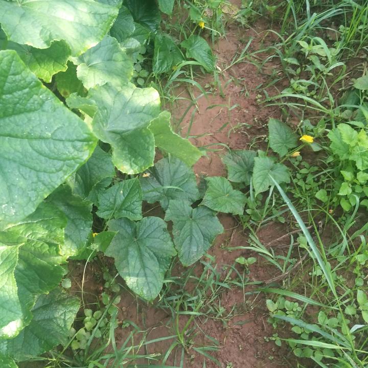 平平淡淡过一生