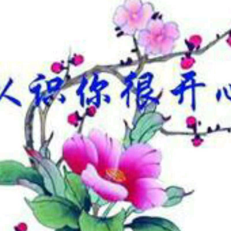 我是风飞沙