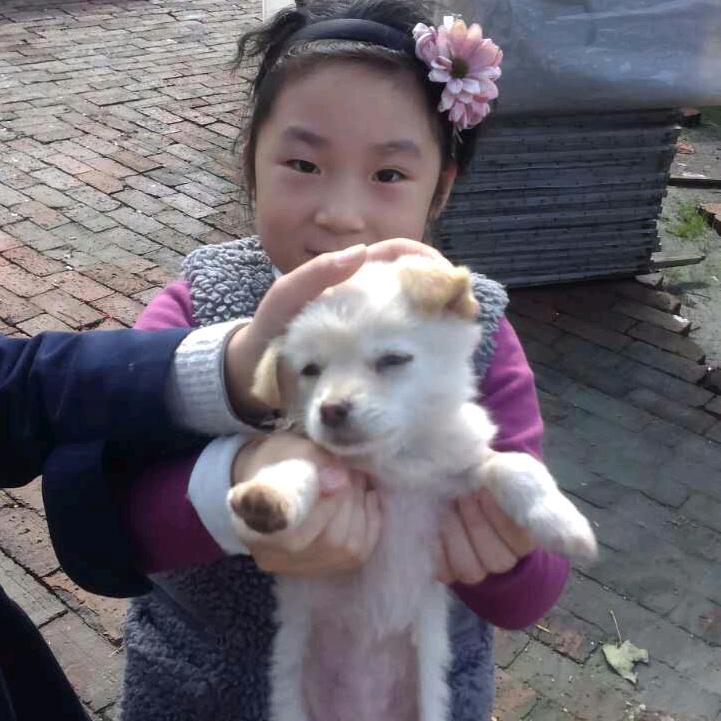美好的生活