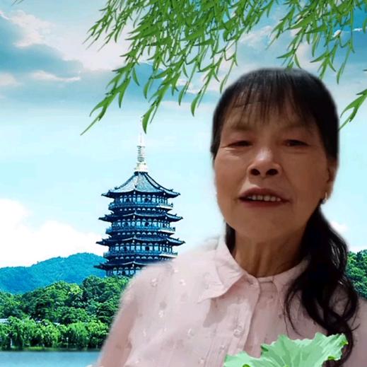 莲姐