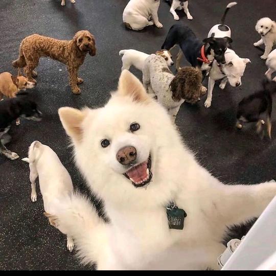 双叶幼稚园小新