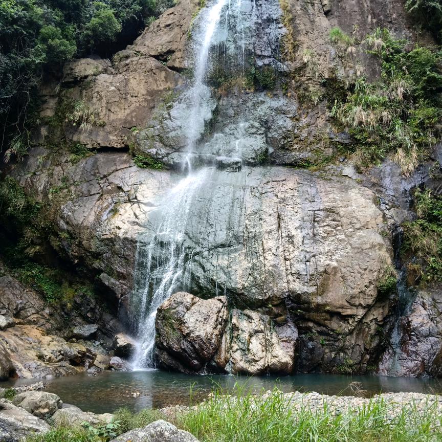 良山茶业